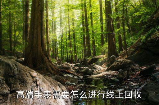 高端手表需要怎么进行线上回收