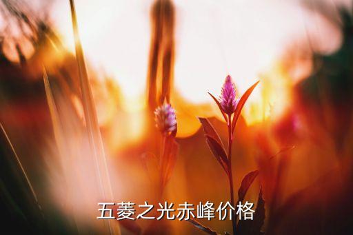 赤峰乾御兴酒价格表，五菱之光赤峰价格