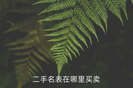 海口二手手表个人买卖，海南海口哪里有卖水货卡西欧的手表