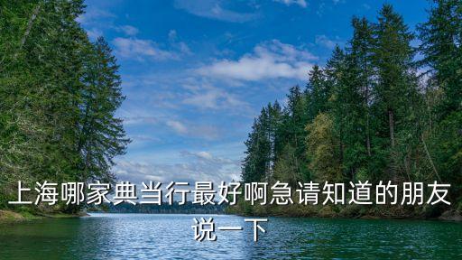 上海哪家典当行最好啊急请知道的朋友说一下