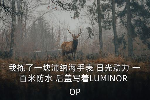 我拣了一块沛纳海手表 日光动力 一百米防水 后盖写着LUMINOR OP