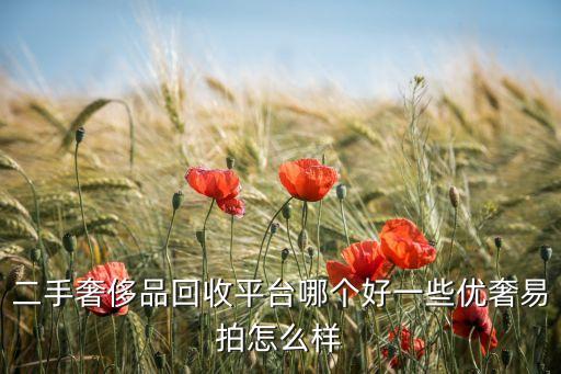 二手奢侈品回收平台哪个好一些优奢易拍怎么样