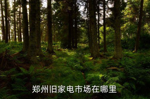 郑州旧家电市场在哪里