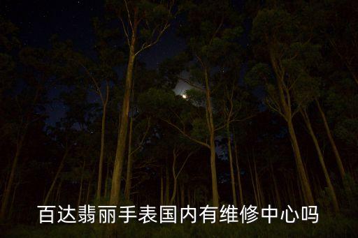 百达翡丽手表国内有维修中心吗