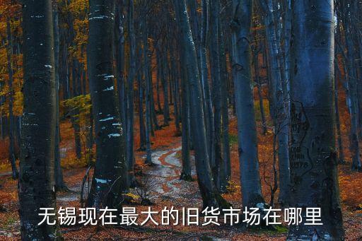 无锡现在最大的旧货市场在哪里