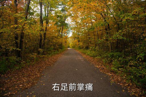 右足前掌痛