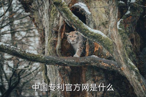 中国专利官方网是什么