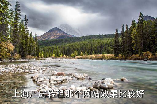 上海厂房转租那个网站效果比较好