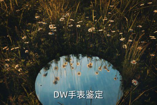 DW手表鉴定