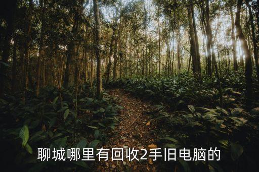 聊城哪里有回收2手旧电脑的