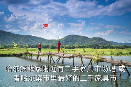 哈尔滨薛家附近有二手家具市场吗 或者哈尔滨市里最好的二手家具市