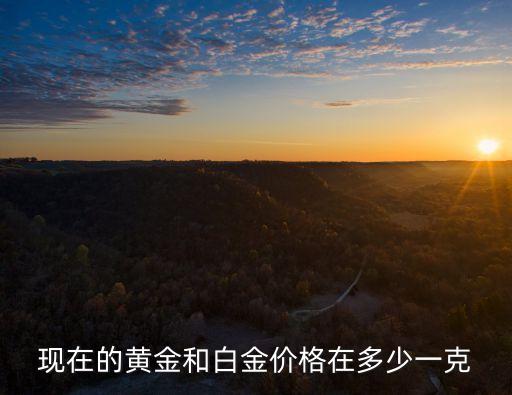 现在的黄金和白金价格在多少一克