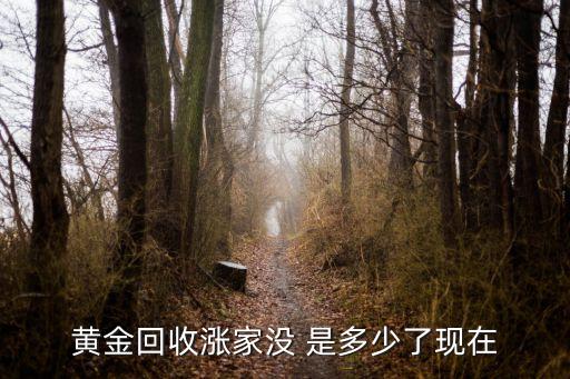 黄金回收涨家没 是多少了现在