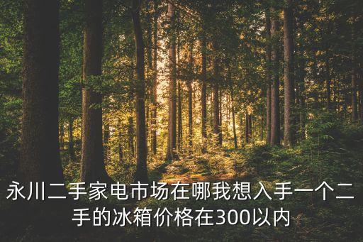 永川二手家电市场在哪我想入手一个二手的冰箱价格在300以内