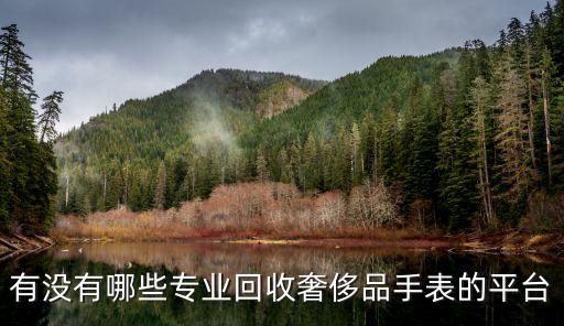 有没有哪些专业回收奢侈品手表的平台