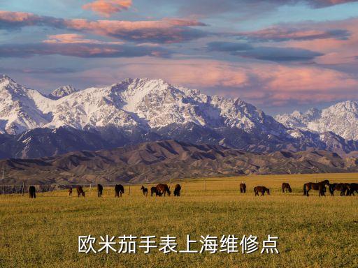 欧米茄手表上海维修点