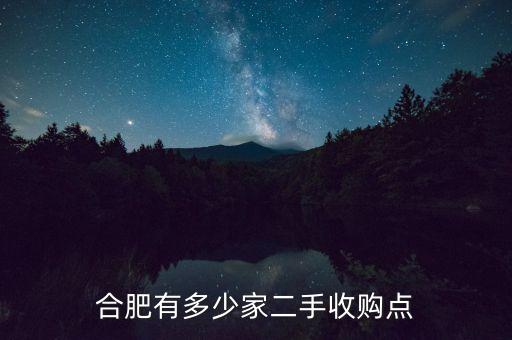 合肥有多少家二手收购点