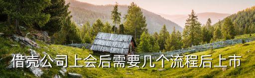借壳公司上会后需要几个流程后上市