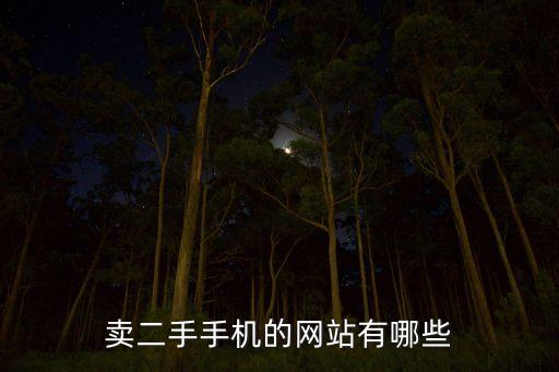卖二手货的网站叫什么，卖二手手机的网站有哪些