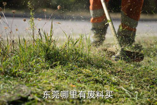 东莞哪里有废料买