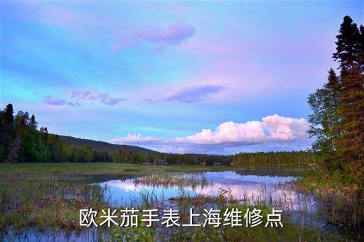 欧米茄手表上海维修点