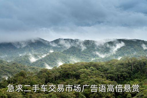 急求二手车交易市场广告语高倍悬赏