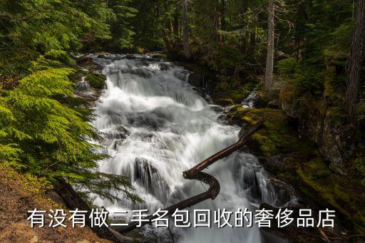 包包回收平台，有没有做二手名包回收的奢侈品店