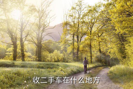 收二手车在什么地方