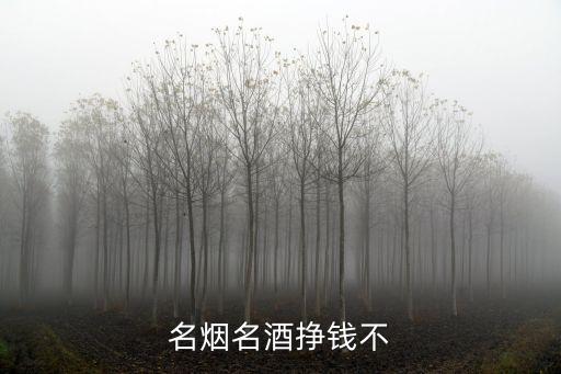 名烟名酒挣钱不
