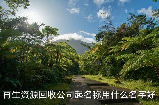 再生资源回收公司起名称用什么名字好