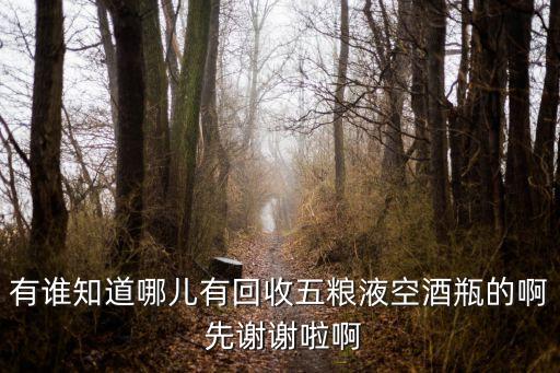 有谁知道哪儿有回收五粮液空酒瓶的啊 先谢谢啦啊