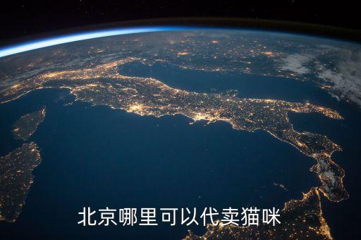 北京哪里可以代卖猫咪