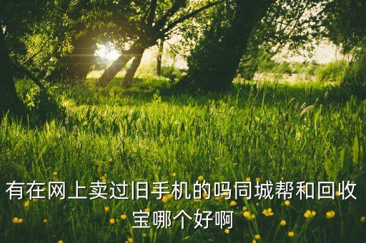有在网上卖过旧手机的吗同城帮和回收宝哪个好啊