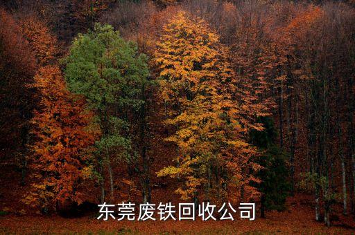 东莞废铁回收公司