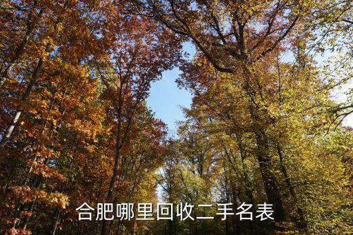 合肥哪里回收二手名表