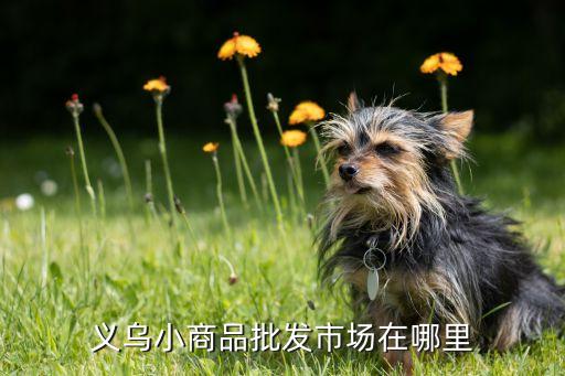 义乌小商品批发市场在哪里
