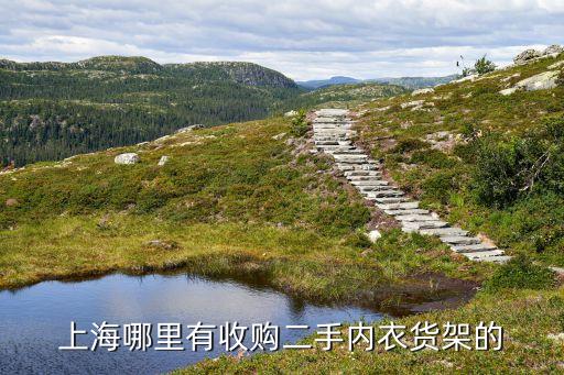 上海哪里有收购二手内衣货架的