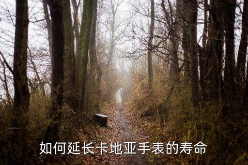 如何延长卡地亚手表的寿命