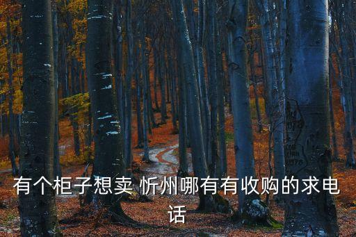 有个柜子想卖 忻州哪有有收购的求电话