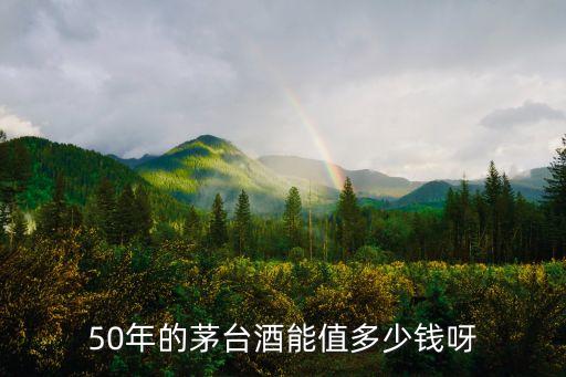 50年的茅台酒能值多少钱呀