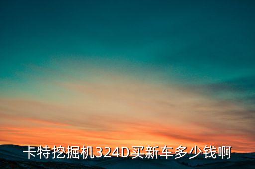 卡特挖掘机324D买新车多少钱啊