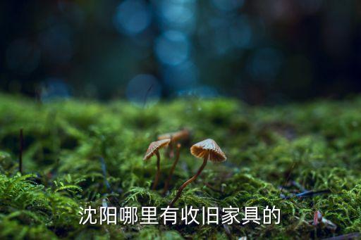 沈阳哪里有收旧家具的