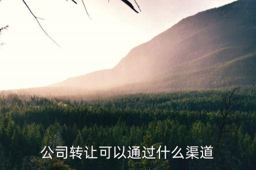 正规公司转让平台有哪些，公司转让可以通过什么渠道