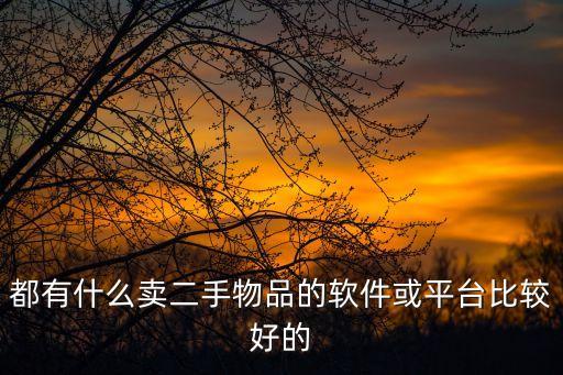 有哪些卖二手货的平台，卖二手手机的网站有哪些