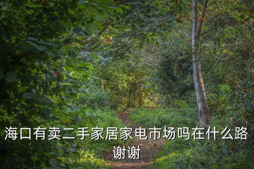 海口秀英二手空调出售，海口有卖二手家居家电市场吗在什么路谢谢