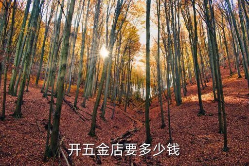 开五金店要多少钱