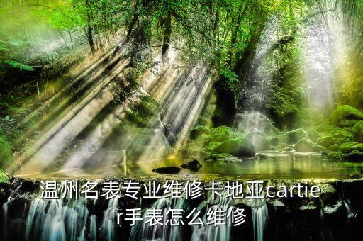 温州名表专业维修卡地亚cartier手表怎么维修