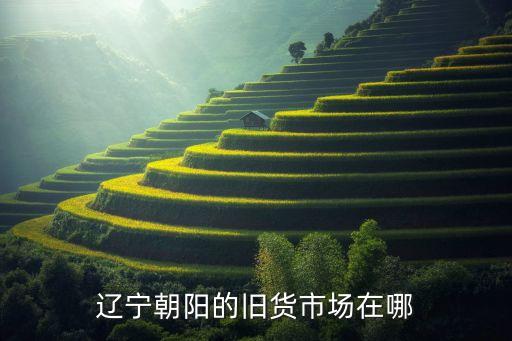 辽宁朝阳的旧货市场在哪