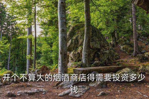 开个不算大的烟酒商店得需要投资多少钱