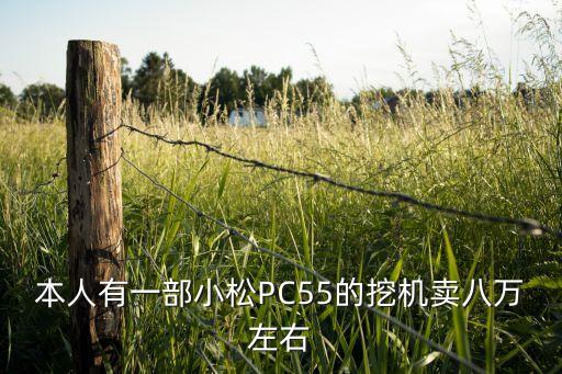 本人有一部小松PC55的挖机卖八万左右
